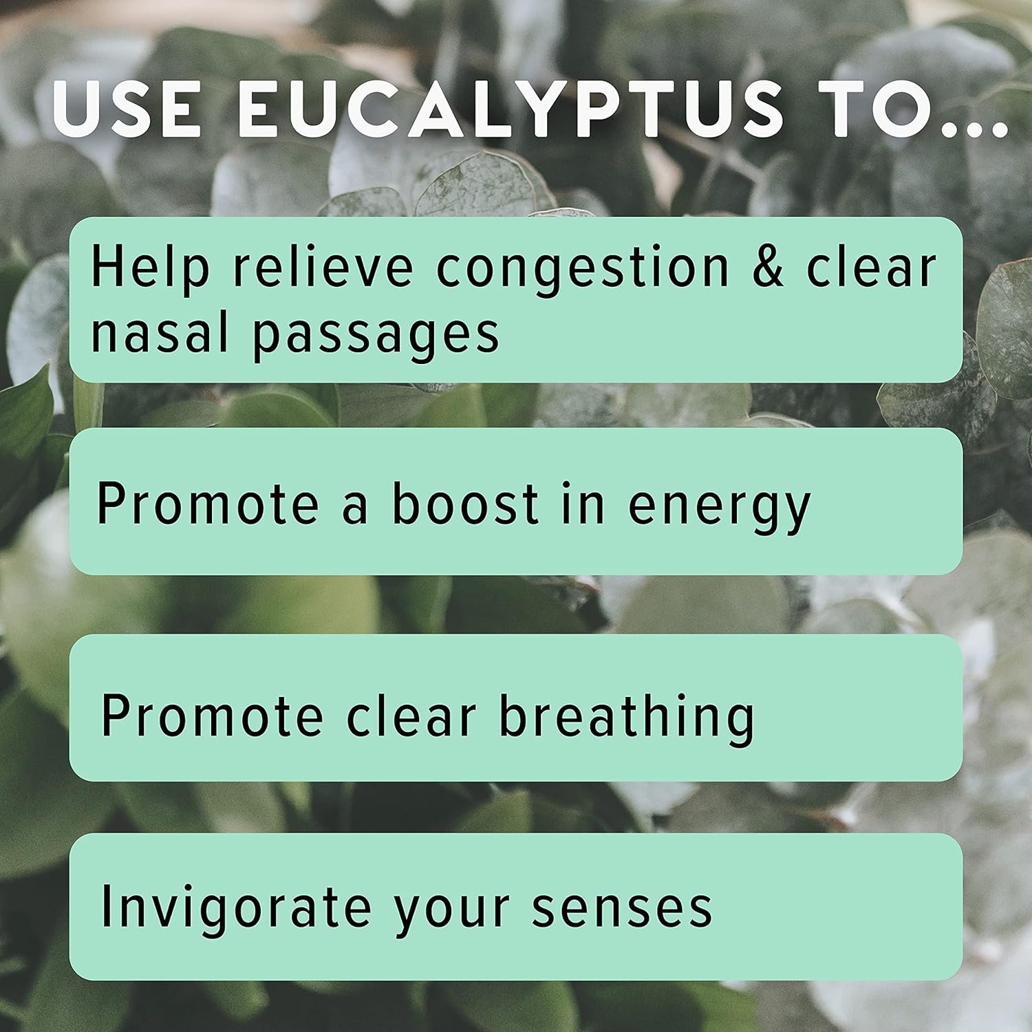 MOXĒ Eucalyptus Essential Oil Nasal Inhaler, Sinus  Congestion Relief, Daily Relaxation, Stress Relief, Therapeutic No-Mess Aromatherapy, Pure and Natural, Made in USA (3 Pack)