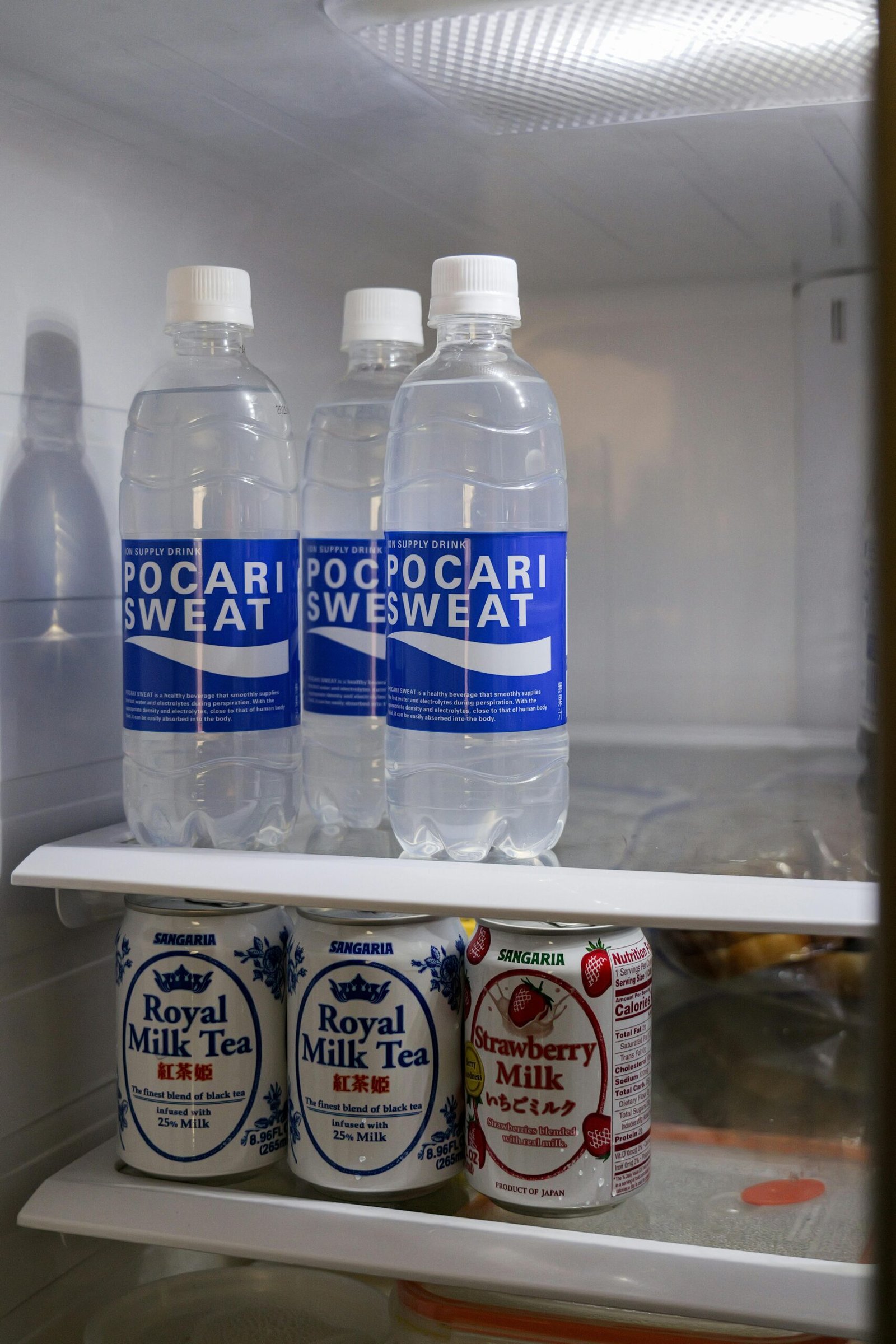 Venture Pal High Sodium Sugar-Free Electrolyte Powder Packets - Hydration Packets with Sodium, Potassium  Magnesium | Zero Calories | Vegan, Keto, and Paleo Friendly | 16 Sticks